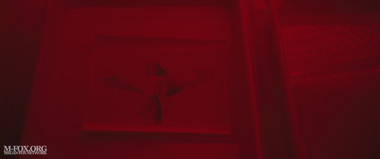 00707.jpg 00707.jpg