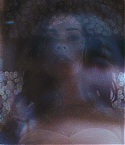 01731.jpg