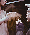 01862.jpg