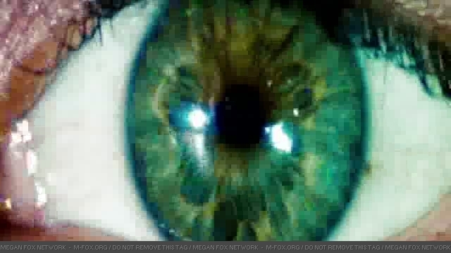transfor_0785.jpg transfor_0785.jpg