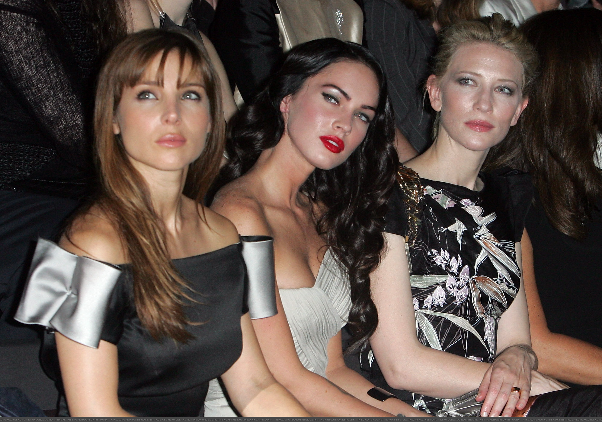 38458_babayaga_Megan_Fox_Giorgio_Armani_Prive_Fashion_Show_PFW07-07-2009_046_123_435lo.jpg