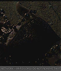 JBRBT0053.jpg