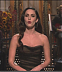 SNL10041.jpg