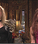 SNL30067.jpg