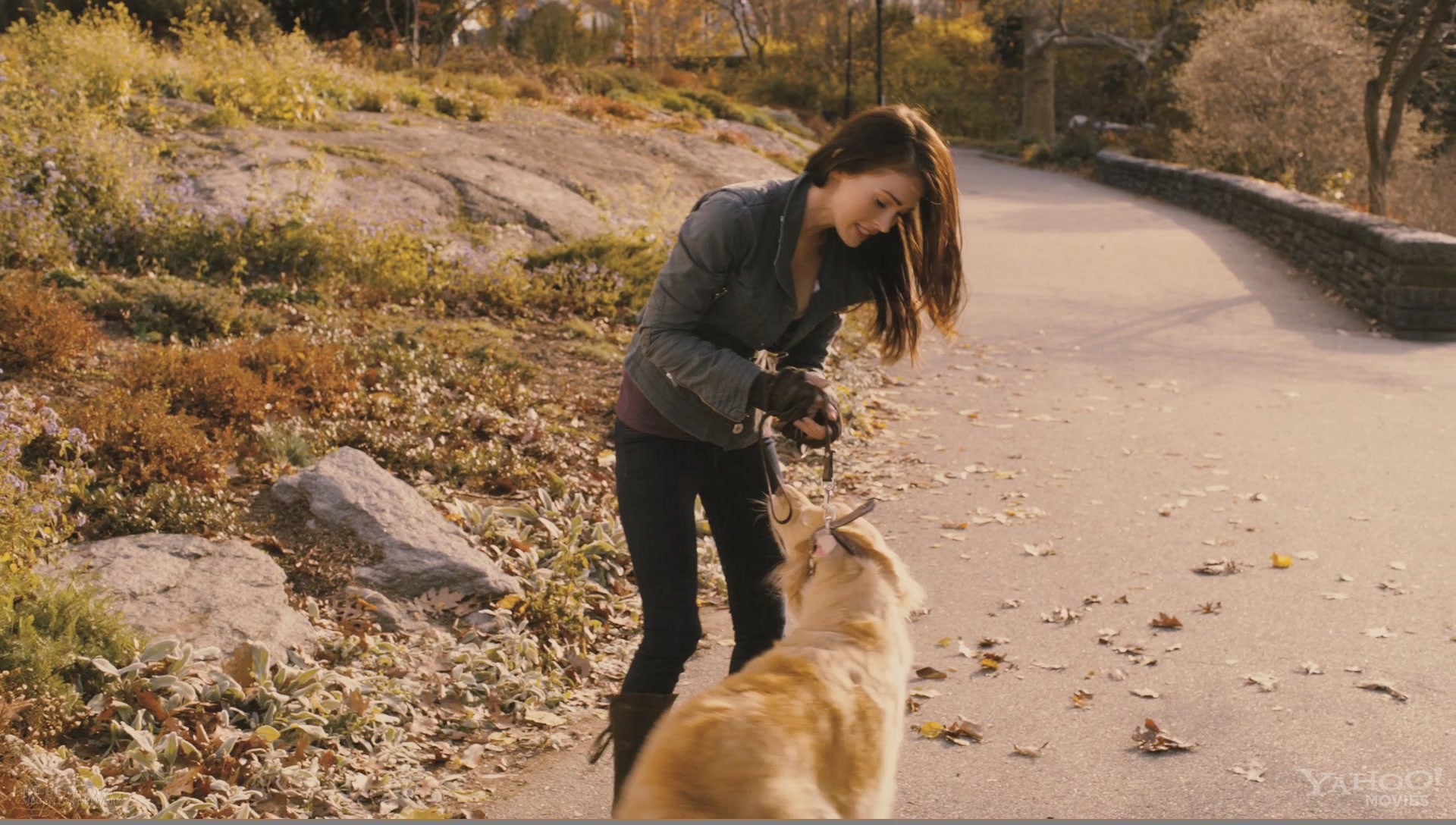 FWKtrailer0311.jpg FWKtrailer0311.jpg
