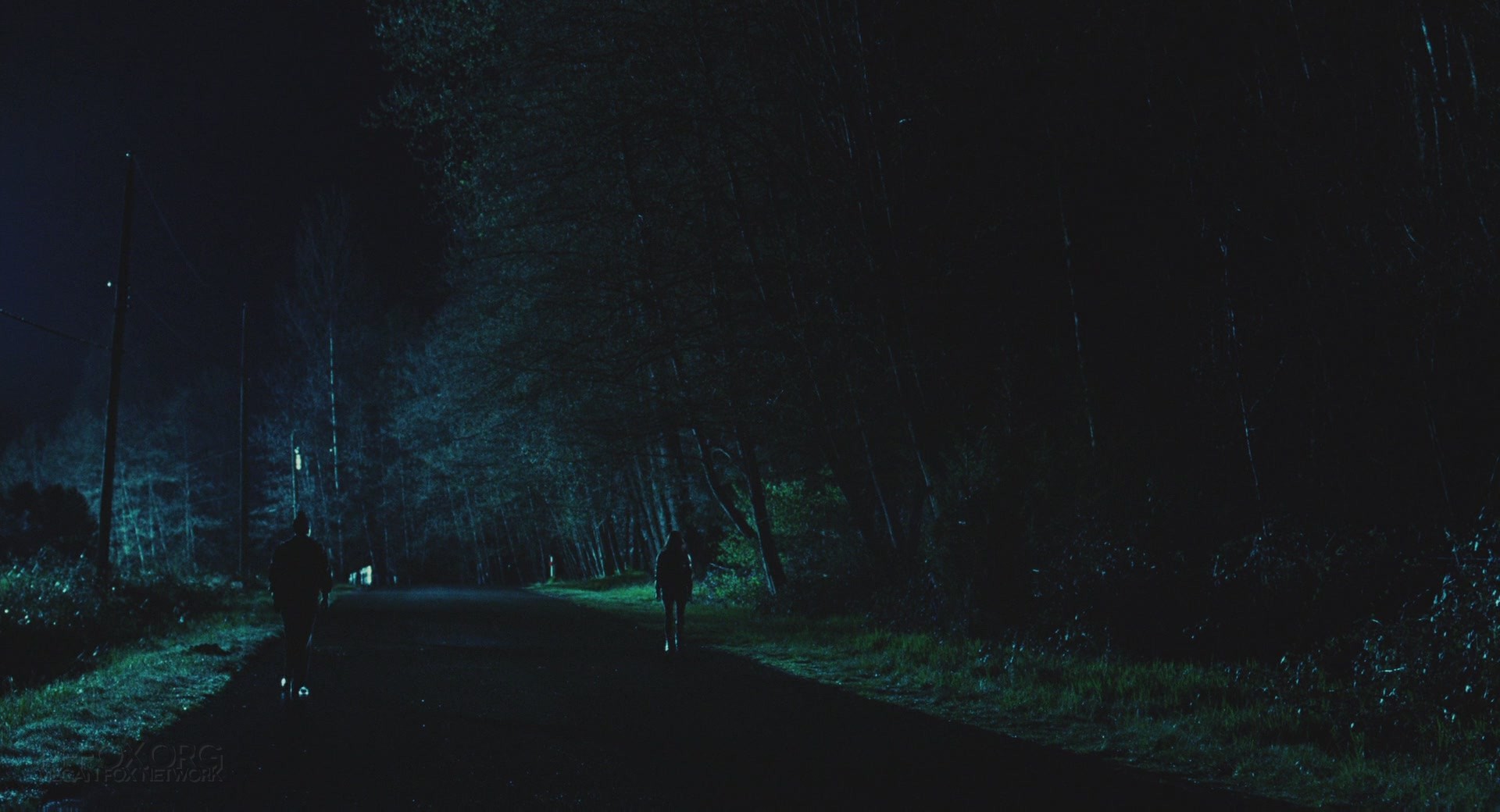 JennifersBody3355.jpg JennifersBody3355.jpg
