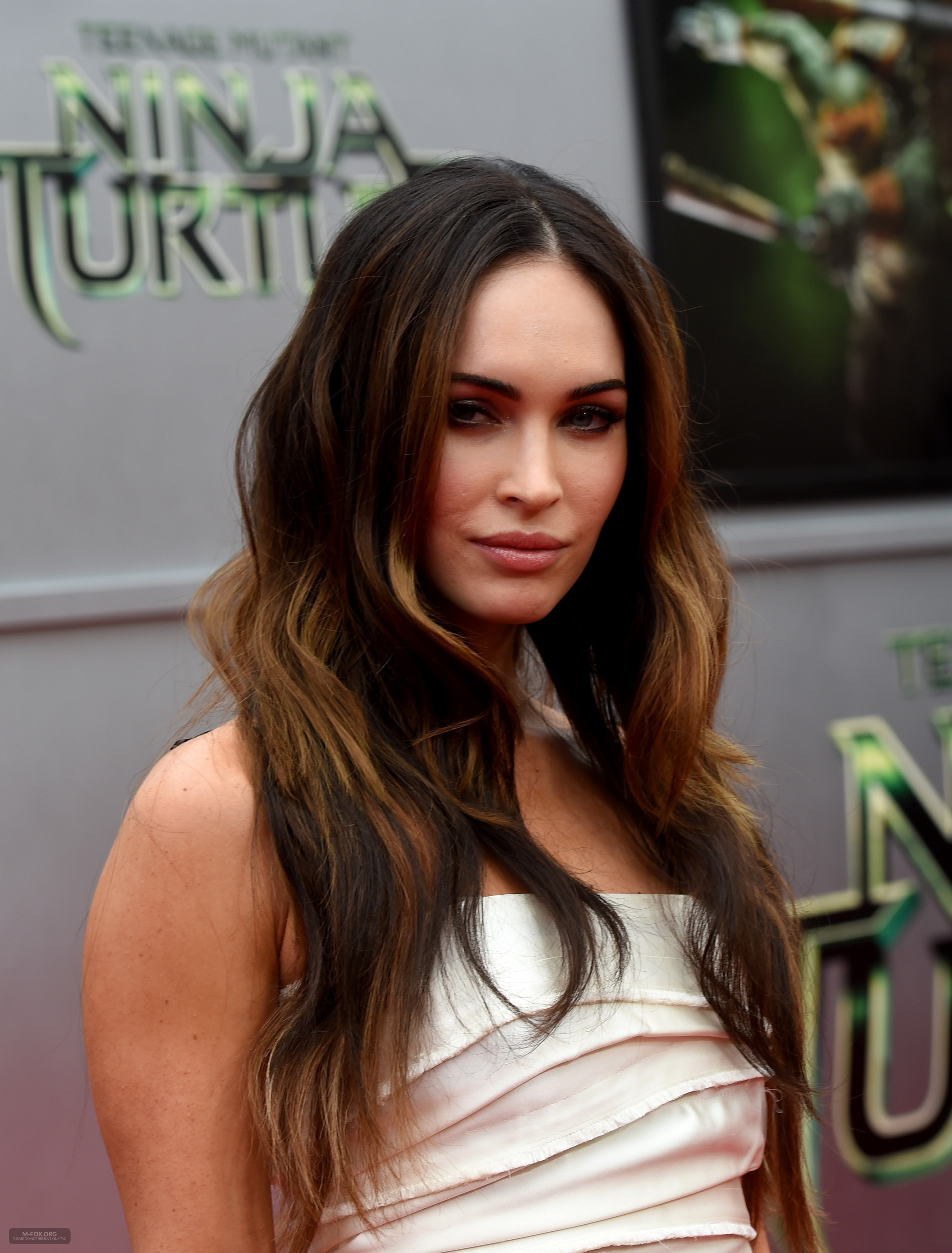 _Teenage_Mutant_Ninja_Turtles__Premiere_in_Los_Angeles080314029.jpg