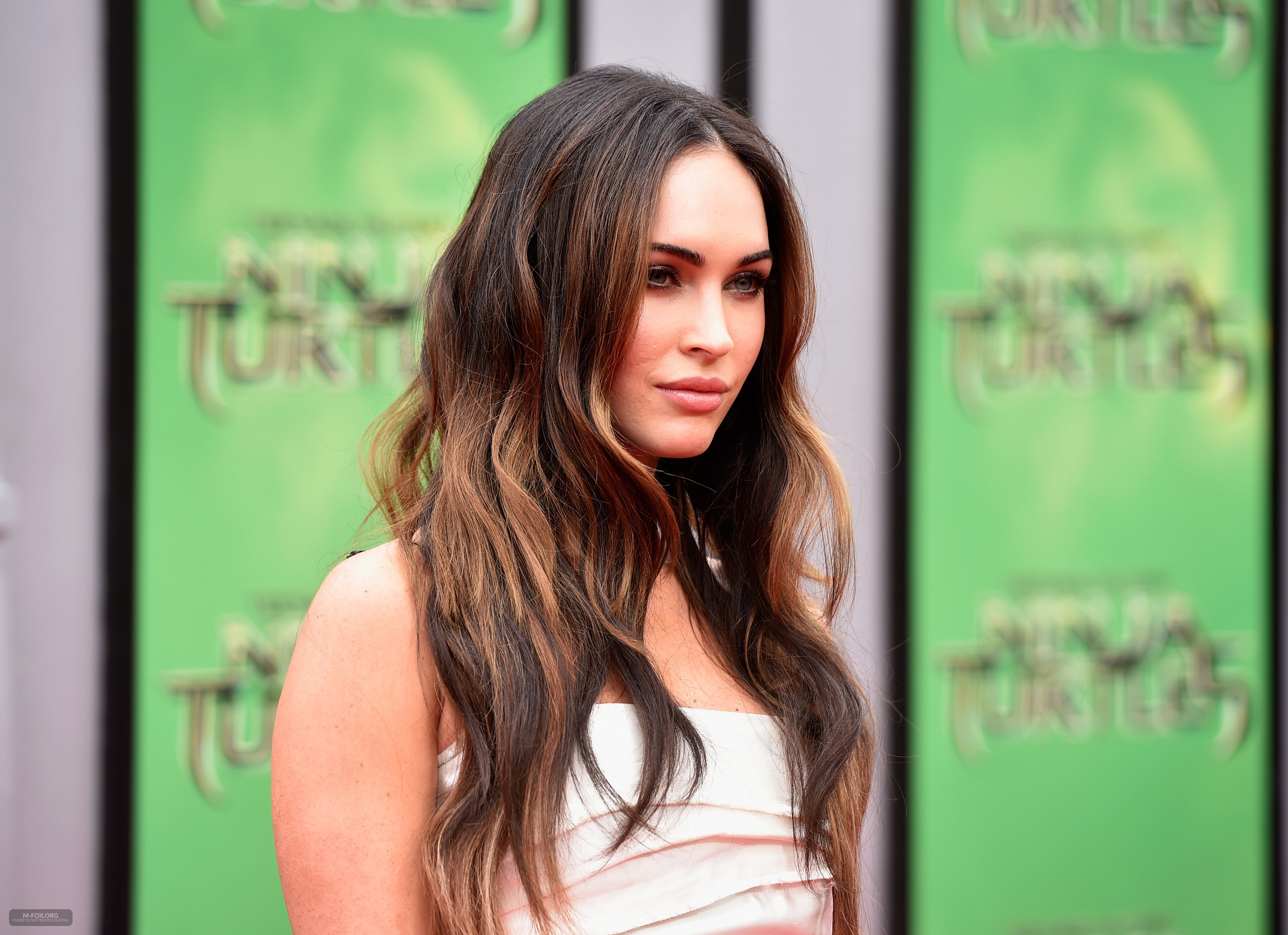 _Teenage_Mutant_Ninja_Turtles__Premiere_in_Los_Angeles080314072.jpg