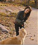 FWKtrailer0310.jpg