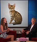 The_Ellen_DeGeneres_Show050514026.jpg