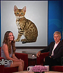 The_Ellen_DeGeneres_Show050514027.jpg