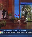 ellen38120038.jpg